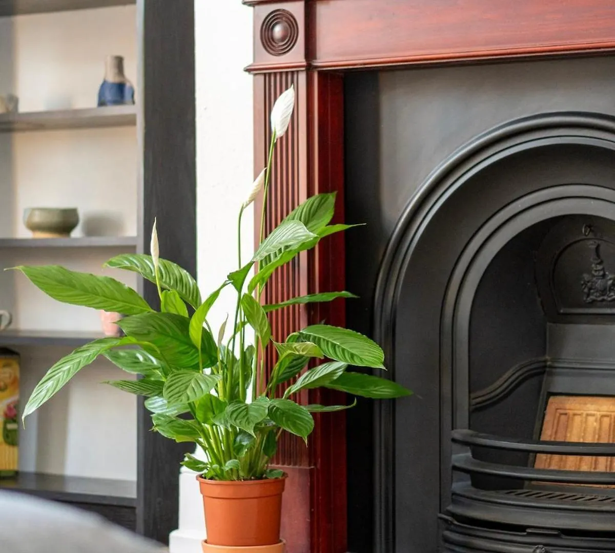 Holiday home 6-Bed Exeter Townhouse Villa
